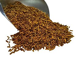 Bar ALE Super Grubs Dried Black Soldier Fly Larvae Chicken Treats, 3-lb bag slide 2 of 3