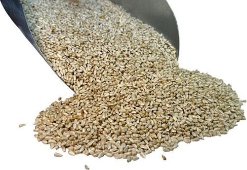 Show full view: Bar ALE Whole Safflower Seed Wild Bird Food, 8-lb bag slide 3 of 5