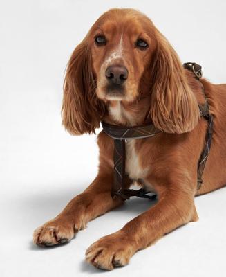 Show full view: Barbour 5-Way Adjustable Dog Harness, Classic Tartan, Medium: 17 to 22-in chest slide 3 of 5