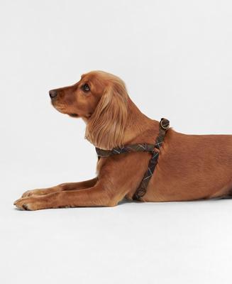 Show full view: Barbour 5-Way Adjustable Dog Harness, Classic Tartan, Small: 14 to 18-in chest slide 3 of 6