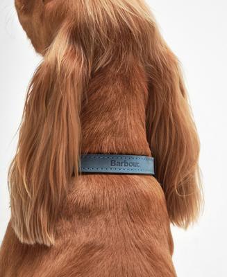 Show full view: Barbour Leather Dog Collar, Blue, Small: 16-in neck, 1/2-in wide slide 3 of 5
