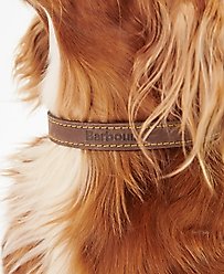 Barbour Leather Dog Collar, Brown, Small: 11 to 14-in neck, 1/2-in wide slide 2 of 5
