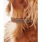 Show in main carousel: Barbour Leather Dog Collar, Brown, Small: 11 to 14-in neck, 1/2-in wide slide 4 of 5