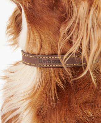 Show full view: Barbour Leather Dog Collar, Brown, Small: 11 to 14-in neck, 1/2-in wide slide 4 of 5