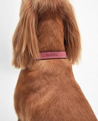 Show full view: Barbour Leather Dog Collar, Pink, Medium: 21-in neck, 3/4-in wide slide 4 of 5