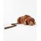 Show in main carousel: Barbour Leather Dog Leash, 3-ft long, 1/2-in wide, Brown slide 6 of 6