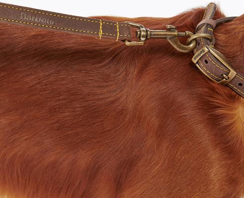 Show full view: Barbour Leather Dog Leash, 3-ft long, 1/2-in wide, Brown slide 5 of 6