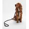 Show in main carousel: Barbour Leather Snap Dog Leash, Dark Brown, 4-ft long, 1/2-in wide slide 1 of 3