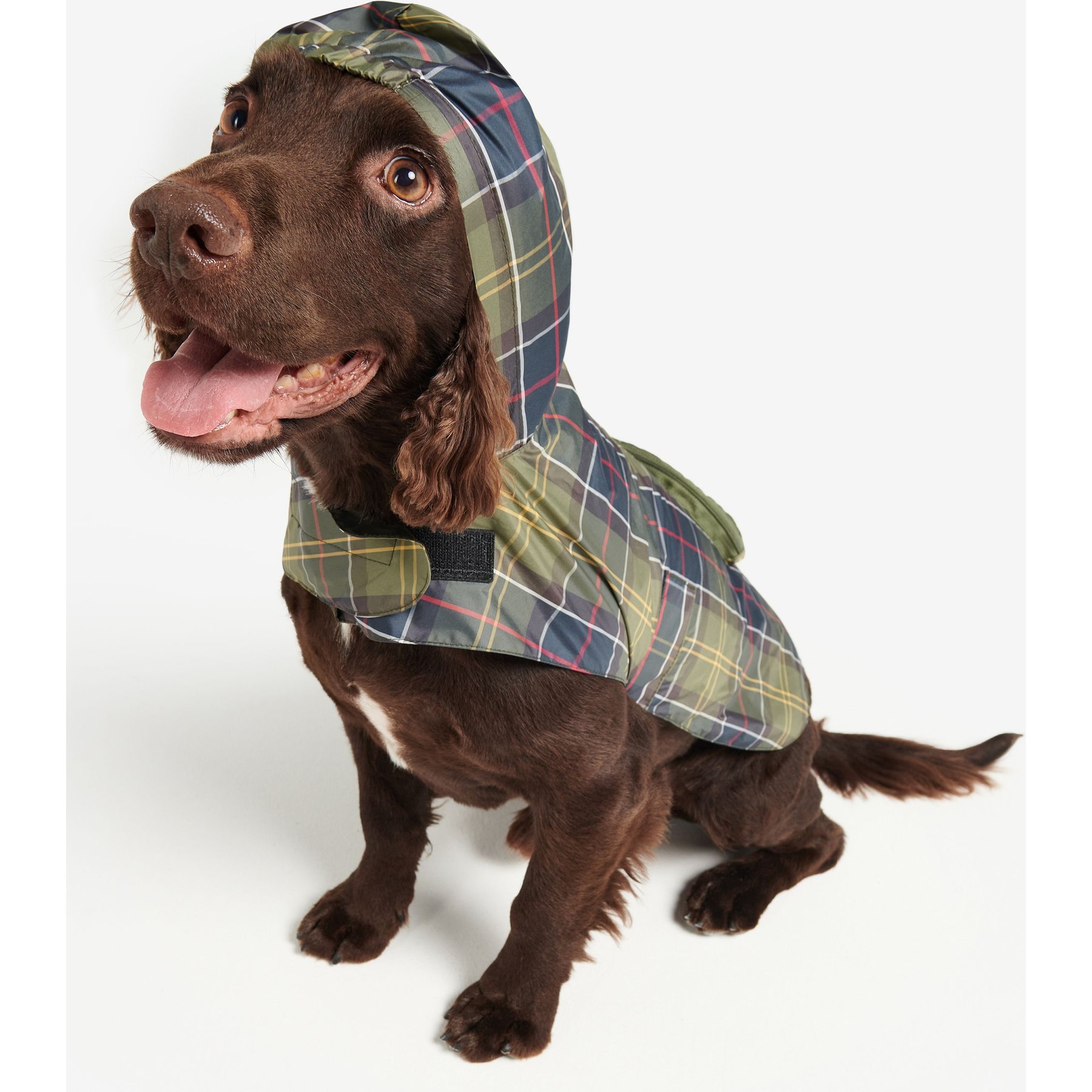 Barbour Packable Tartan Dog Raincoat, Medium