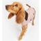 Show in main carousel: Barbour Quilted Dog Coat, Pink, XX-Large slide 6 of 8