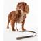 Show in main carousel: Barbour Reflective Dog Leash, Classic Tartan slide 4 of 4