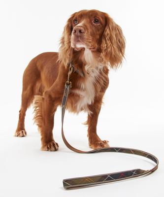 Show full view: Barbour Reflective Dog Leash, Classic Tartan slide 4 of 4