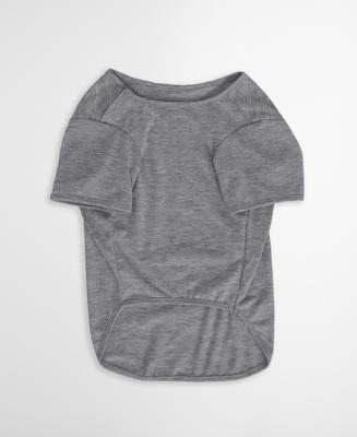 Show full view: Barbour Sea Dog T-Shirt, Grey, Small slide 4 of 5