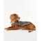 Show in main carousel: Barbour Tartan Waterproof Dog Coat, Classic, Large slide 4 of 5