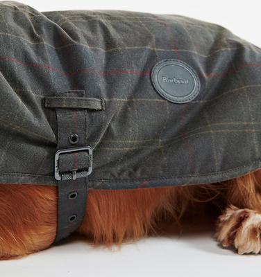 Show full view: Barbour Tartan Wax Dog Coat, Classic Tartan, Medium slide 3 of 6
