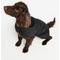 Show in main carousel: Barbour Wax Dog Coat, Black, XX-Large slide 4 of 6