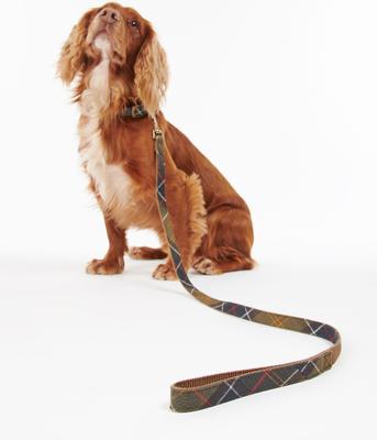 Show full view: Barbour Webbing Dog Leash, Classic Tartan, 3-ft long, 1/2-in wide slide 4 of 4