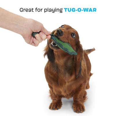 Show full view: BARK A Green Chew Leaf Tough Chew Dog Tug Toy, Green, Small slide 4 of 8