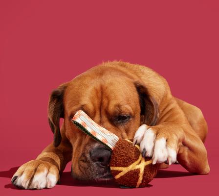 Show full view: BARK A Squeaky Meat-a-Ball Beef Scented Rip & Reveal Squeaky Tough Dog Chew Toy slide 4 of 8