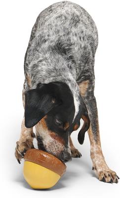 Show full view: BARK Acornucopia Treat Dispensing Tough Dog Chew Toy, Brown slide 5 of 9