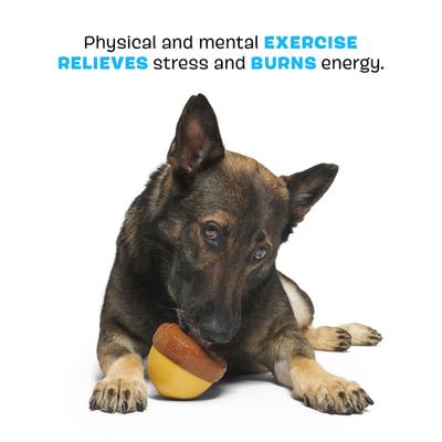 Show full view: BARK Acornucopia Treat Dispensing Tough Dog Chew Toy, Brown slide 4 of 9