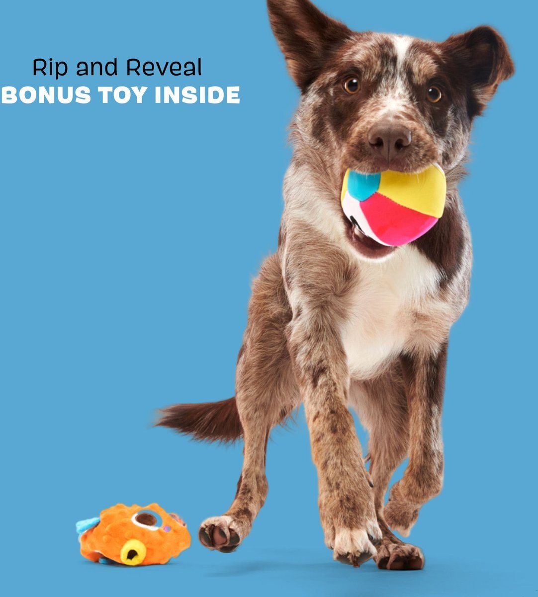 BARK Air Head Rip n Reveal Squeaky Plush Dog Toy, Orange