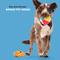 Show in main carousel: BARK Air Head Rip n Reveal Squeaky Plush Dog Toy, Orange, Medium/Large slide 4 of 8