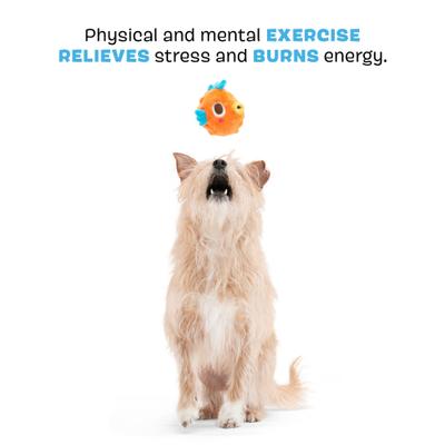 Show full view: BARK Air Head Rip n Reveal Squeaky Plush Dog Toy, Orange, X-Small/Small slide 7 of 9