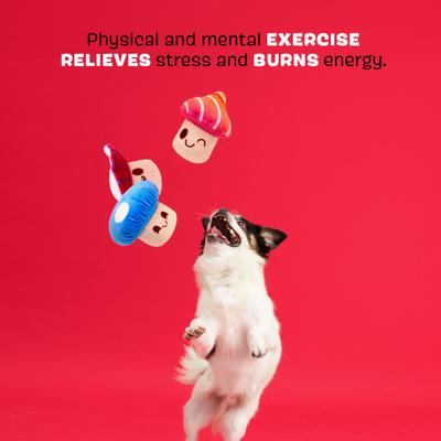 Show full view: BARK Alice Magic Mushrooms 3-in-1 Plush Dog Toy slide 4 of 9