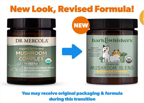 Show full view: Bark and Whiskers Fermented Mushroom Blend Dog & Cat Supplement, 2.1-oz jar slide 3 of 9