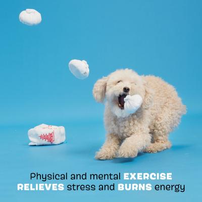 Show full view: BARK Andi's Famous Dumplings Multi-Part Squeaky Plush Dog Toy, White, Small slide 3 of 8