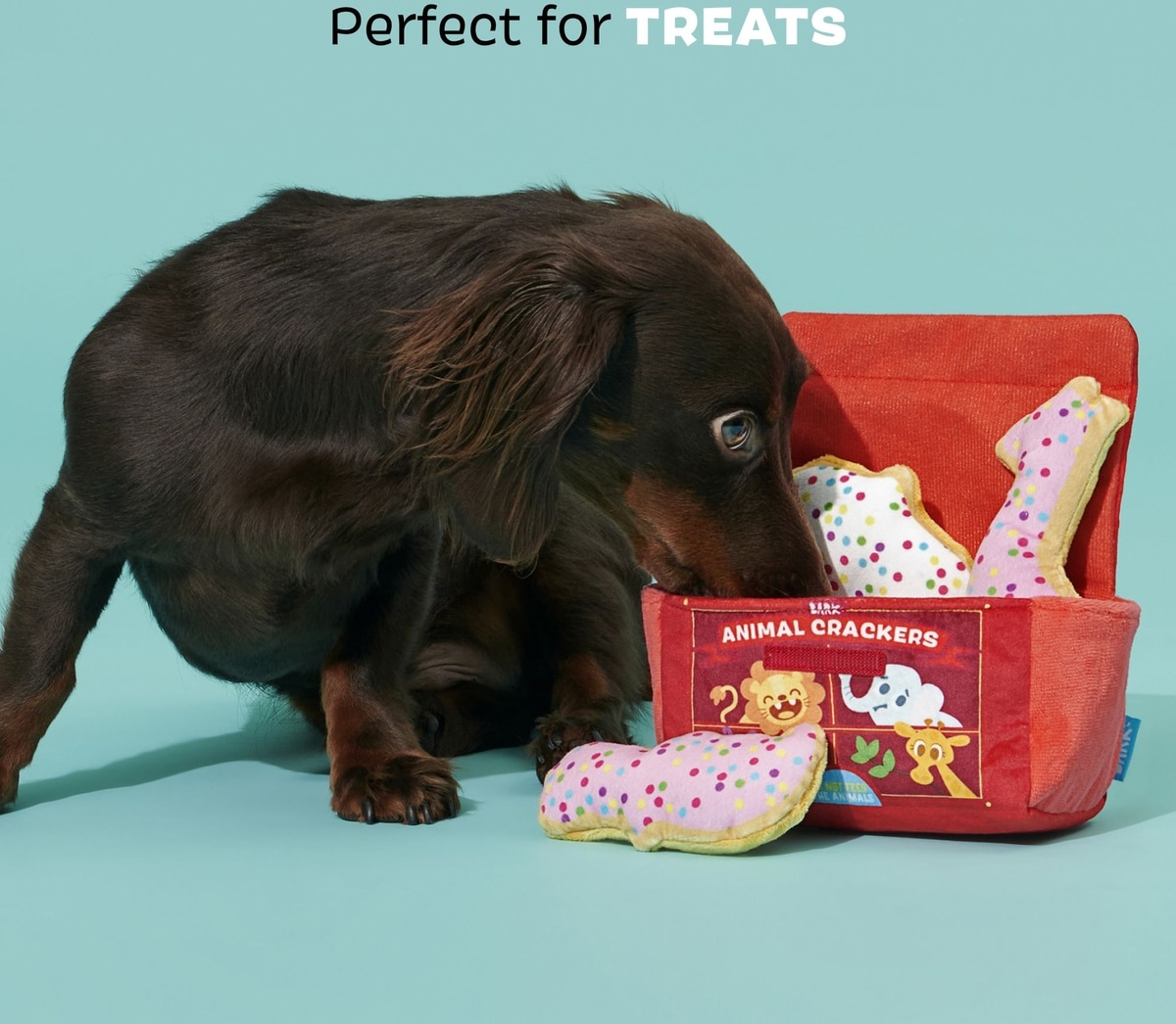 BARK Animal Squeakers Snacks Multi-Part Squeaky Plush Dog Toy