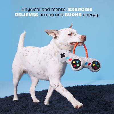 Show full view: BARK Ate Bit Controllers Squeaky Plush Dog Rope Toy slide 3 of 9