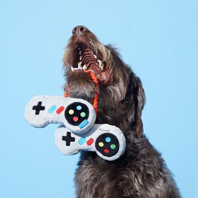 Show full view: BARK Ate Bit Controllers Squeaky Plush Dog Rope Toy slide 5 of 9