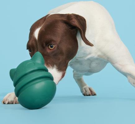 Show full view: BARK Aurora Beast Hardcore Tough Dog Chew Toy, Teal, Large slide 7 of 10