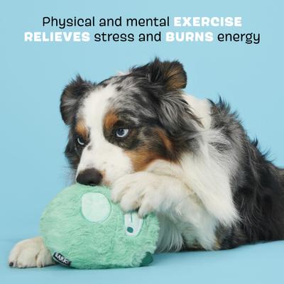 Show full view: BARK Aurora Beast Hardcore Tough Dog Chew Toy, Teal, Large slide 4 of 10