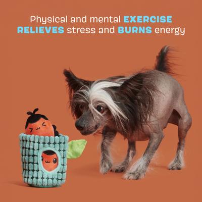 Show full view: BARK Bao & Bab Multi-Part Squeaky Plush Dog Toy, Blue, X-Small slide 4 of 10