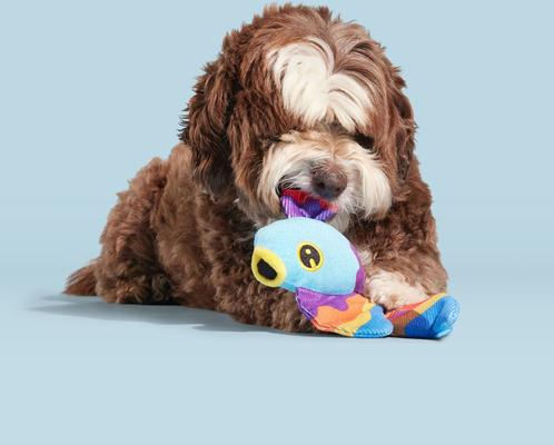 Show full view: BARK Beta Boop Whip & Flip Squeaky Plush Dog Toy slide 5 of 9