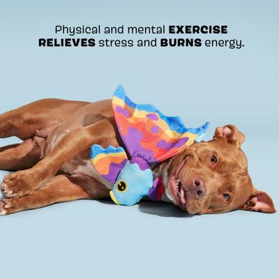 Show full view: BARK Beta Boop Whip & Flip Squeaky Plush Dog Toy slide 3 of 9