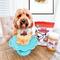 Show in main carousel: Bark Bistro Company Begging Bacon Pooch Pancakes Mix Dog Soft & Chewy Treats, 14-oz pouch slide 4 of 10