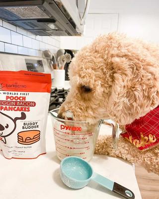 Show full view: Bark Bistro Company Begging Bacon Pooch Pancakes Mix Dog Soft & Chewy Treats, 14-oz pouch slide 5 of 10