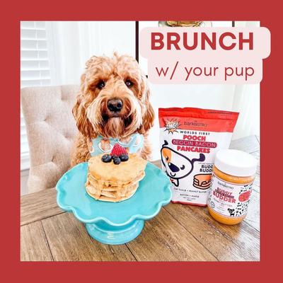 Show full view: Bark Bistro Company Begging Bacon Pooch Pancakes Mix Dog Soft & Chewy Treats, 14-oz pouch slide 8 of 10