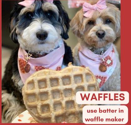 Show full view: Bark Bistro Company Begging Bacon Pooch Pancakes Mix Dog Soft & Chewy Treats, 14-oz pouch slide 9 of 10