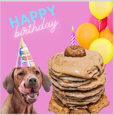 Show full view: Bark Bistro Company Birthday Bash Pooch Pancakes Dog Treat, 14-oz pouch slide 5 of 9