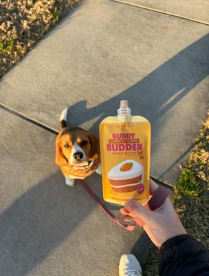 Show full view: Bark Bistro Company Buddy Budder Peanut Butter 6 Mixed Flavor Squeeze Lickable Dog Treat, 4-oz pouch slide 5 of 6