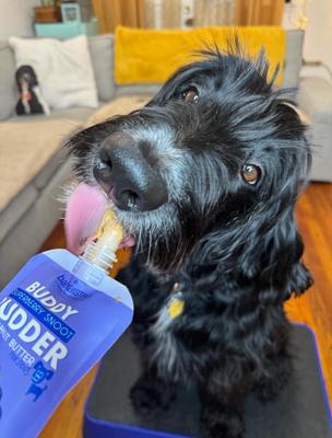 Show full view: Bark Bistro Company Buddy Budder Peanut Butter 6 Mixed Flavor Squeeze Lickable Dog Treat, 4-oz pouch slide 4 of 6