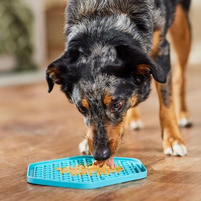 Show full view: Bark Bistro Company Buddy Budder Pumpkin & Cinnamon Peanut Butter Lickable Dog Treats, 17-oz jar slide 6 of 8