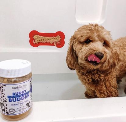 Show full view: Bark Bistro Company Buddy Budder Superberry Snoot Peanut Butter Lickable Dog Treat, 17-oz jar slide 5 of 10
