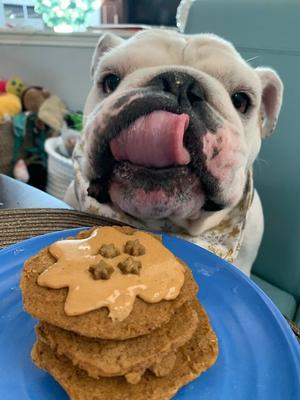 Show full view: Bark Bistro Company Pooch Pancakes Barking Banana Dog Treat, 14-oz bag slide 5 of 11