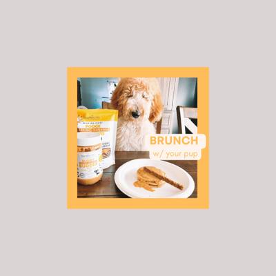 Show full view: Bark Bistro Company Pooch Pancakes Barking Banana Dog Treat, 14-oz bag slide 8 of 11